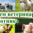 231313 - Администрация Икрянинского района