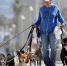 dogwalker jpg crop1497524528 - Администрация Икрянинского района